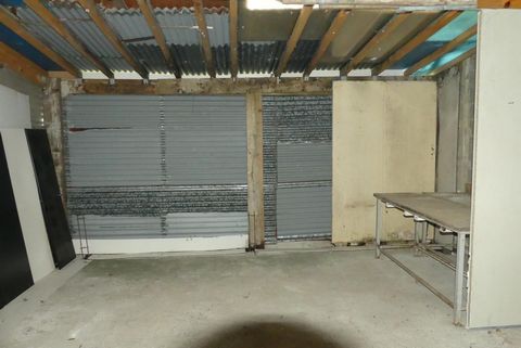 photo no. 4