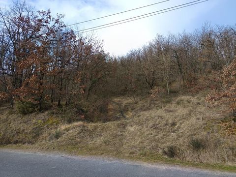 Ensemble de 3 terrains boisés 4870 m²