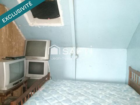 photo no. 5