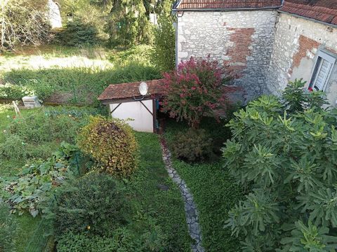 photo no. 10