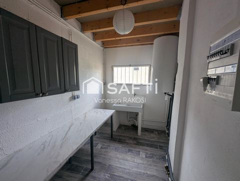 photo no. 11