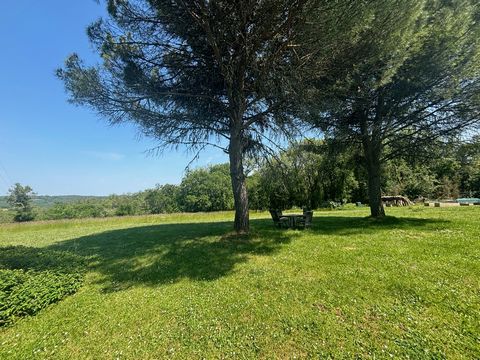 photo no. 3