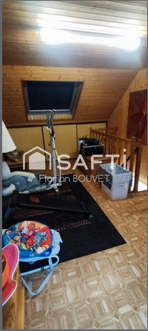 photo no. 15