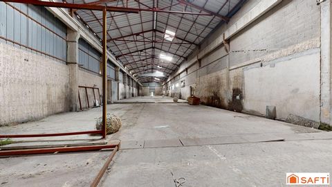 photo no. 13