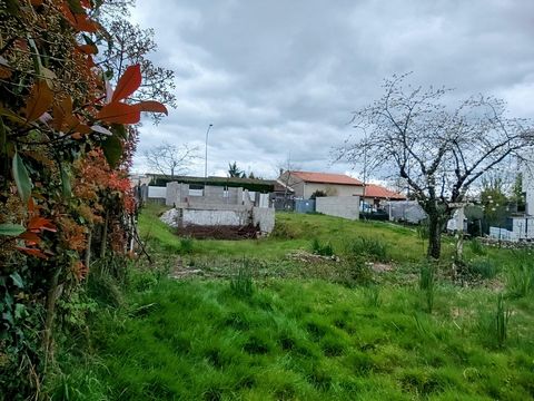 photo no. 1