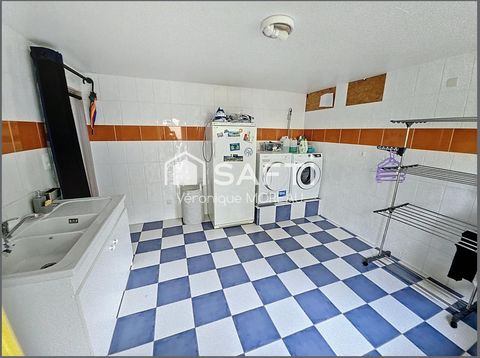 photo no. 9