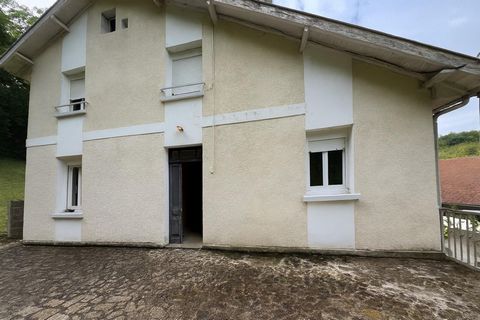 photo no. 4