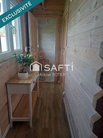 photo no. 5