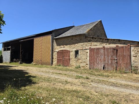 photo no. 4