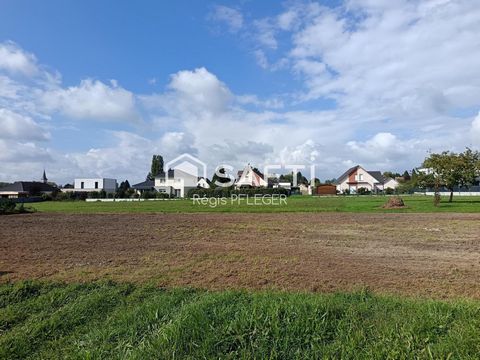Parcelle de 11 ares 40 au calme sur Joncherey