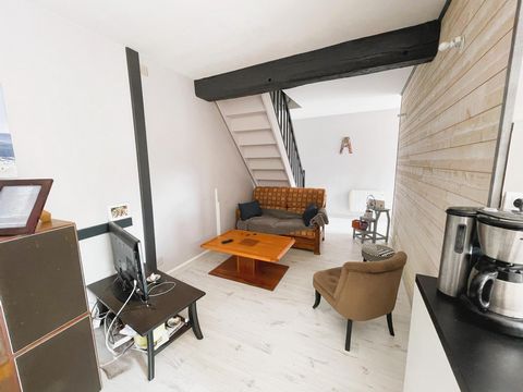 photo no. 11