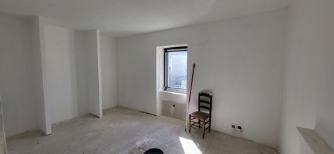photo no. 3