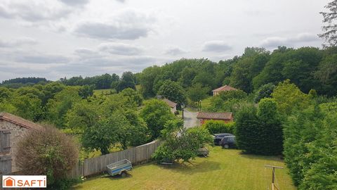 photo no. 9