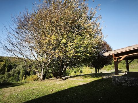 photo no. 16