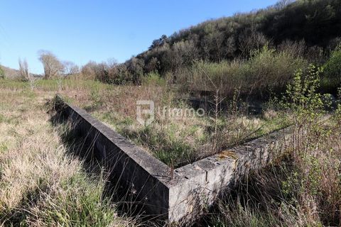 photo no. 2