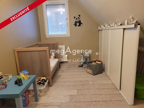 photo no. 11