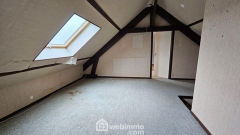 photo no. 11