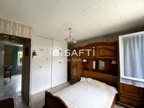 photo no. 6