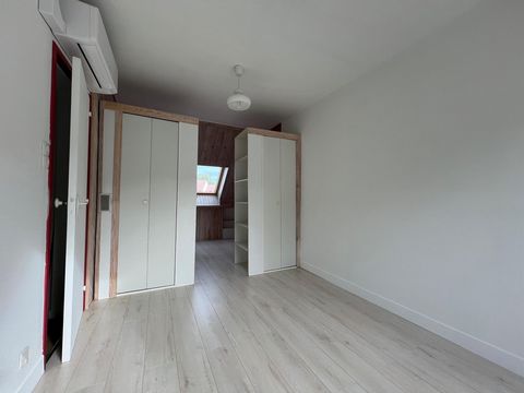 photo no. 8