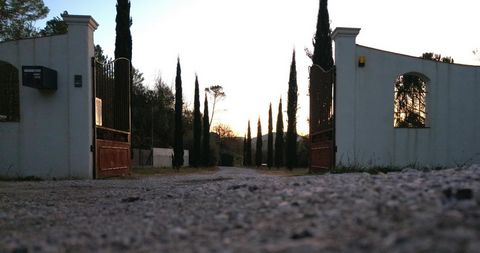 photo no. 19