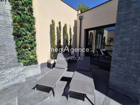 photo no. 11