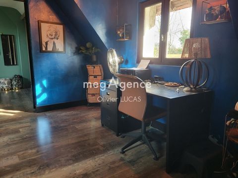 photo no. 11