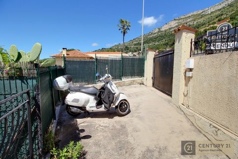 photo no. 12