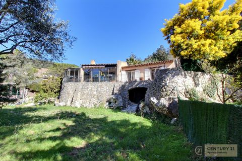 photo no. 15
