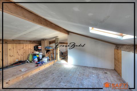 photo no. 10