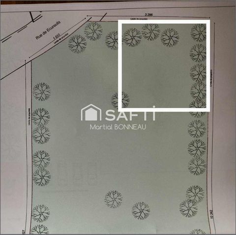 photo no. 3