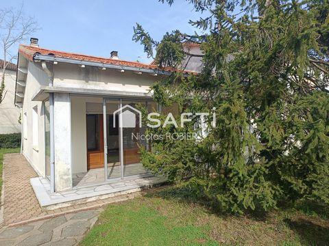 photo no. 13