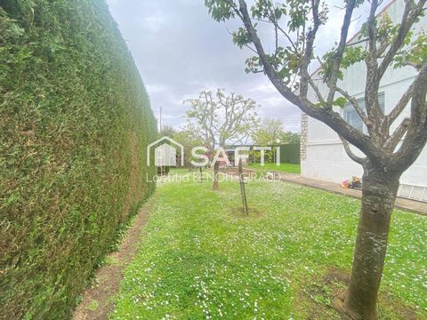 photo no. 15