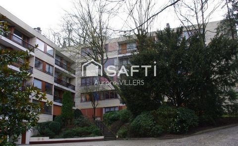 photo no. 8