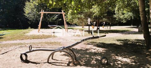 photo no. 13