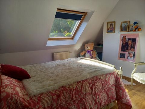 photo no. 15