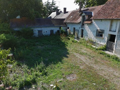 photo no. 5