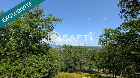 photo no. 14