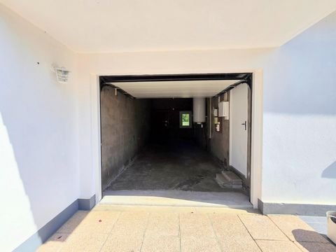 photo no. 18