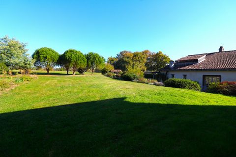 photo no. 21