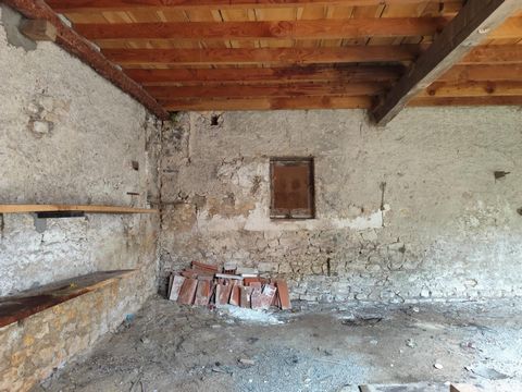 photo no. 3