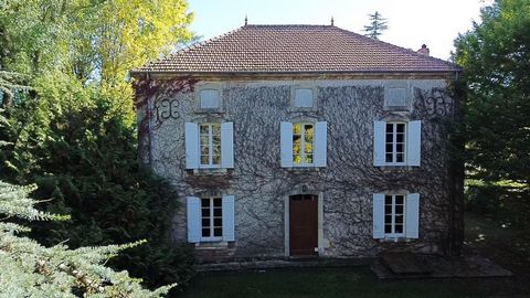 photo no. 2