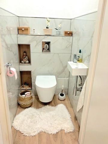 photo no. 12