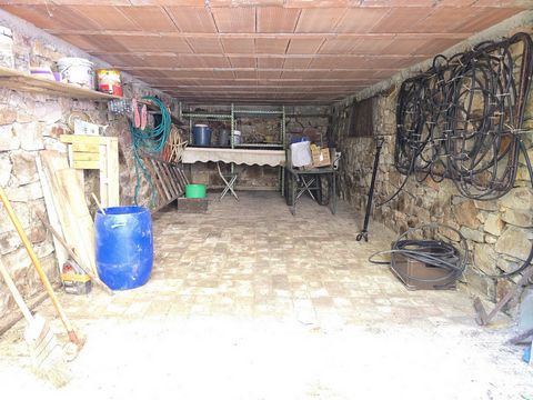 photo no. 5