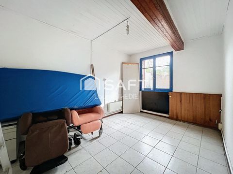 photo no. 6