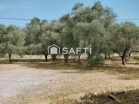 Terrain à batir à Puget sur Argens