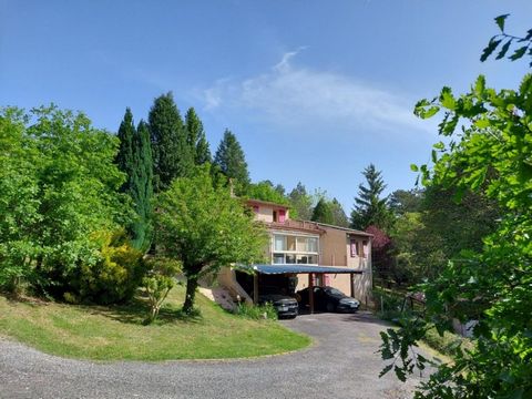 photo no. 1