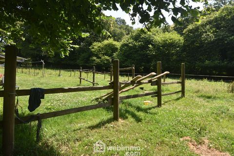 photo no. 12