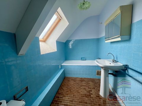photo no. 11