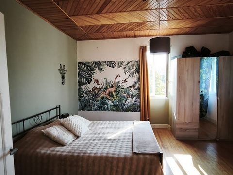 photo no. 13