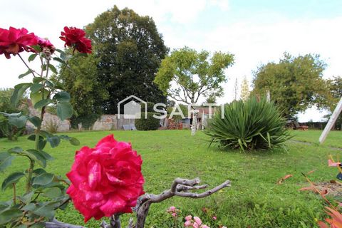 photo no. 10